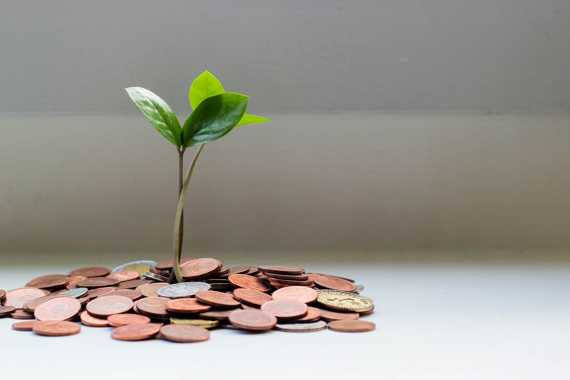We can assist you with all of your SMSF accounting and tax compliance requirements. 

We also provide independent, Australian based audit service.